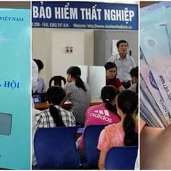 Làm thế nào để được hưởng trợ cấp thất nghiệp?