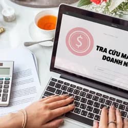 Hướng dẫn cách tra cứu mã số thuế doanh nghiệp