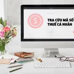 Hướng dẫn các cách tra cứu mã số thuế cá nhân
