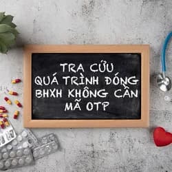 Chia sẻ cách tra cứu quá trình đóng BHXH không cần mã OTP