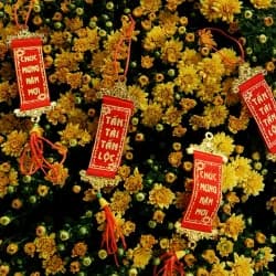 Tết Ấm No, Vẫn Tiết Kiệm: 7 Bí Kíp "Bỏ Túi" Ngay!